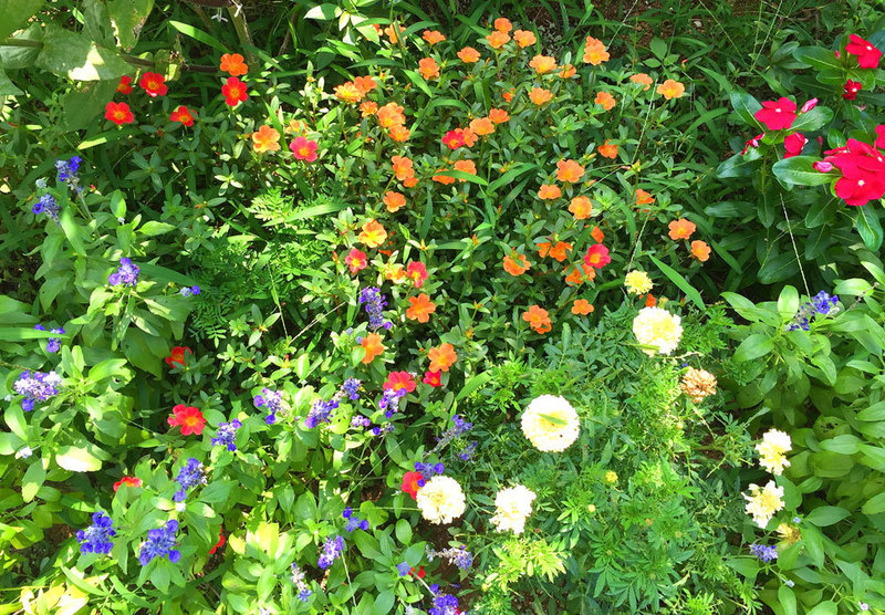 190902_2.jpg