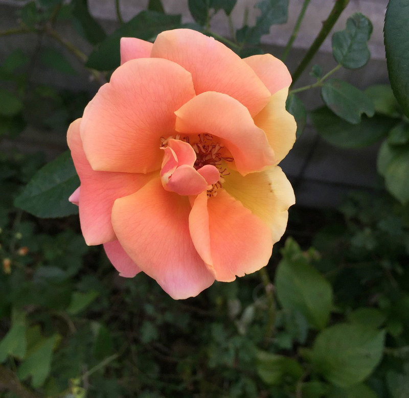 191031-10.jpg
