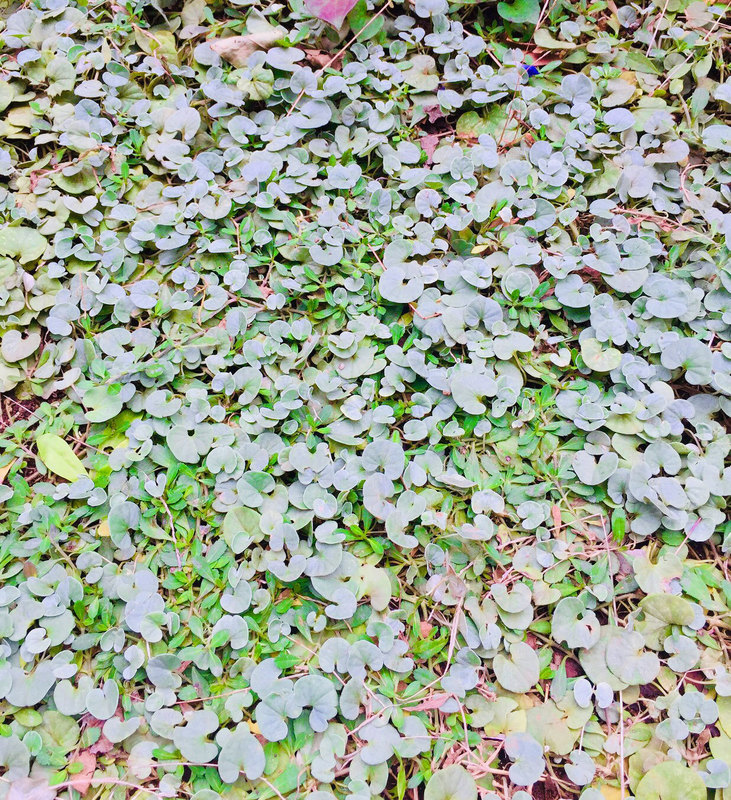 191031-13.jpg