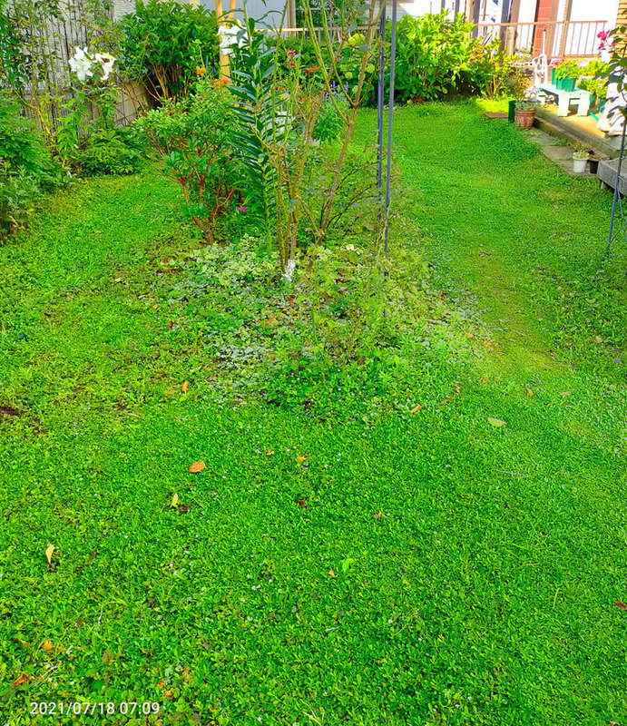 210718_2.jpg