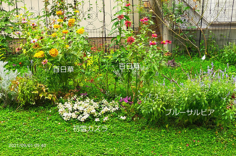 210831_6.jpg